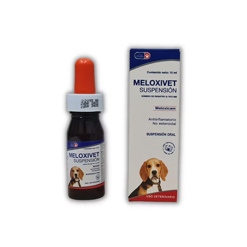 MELOXIVET SUSPENSION 10 ML